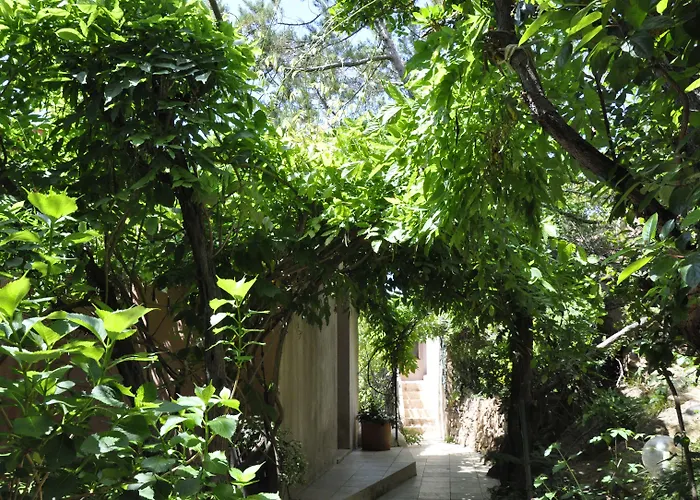 Hotel Private - Adults Only