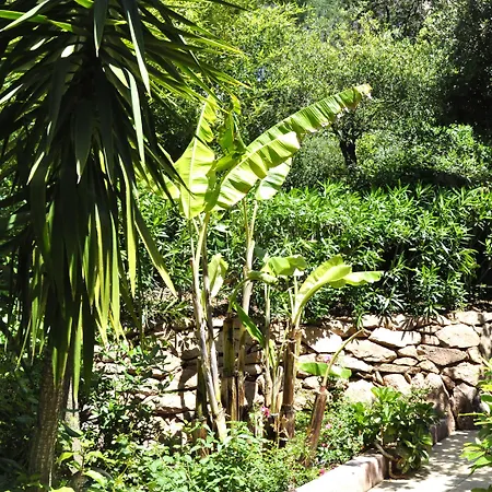 Private - Adults Only ポルトヴェッキオ