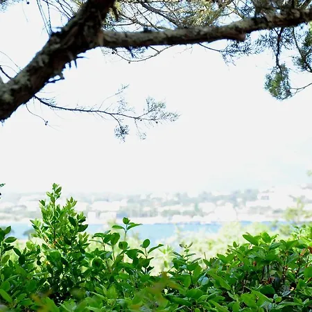 Private - Adults Only Porto-Vecchio (Corsica)