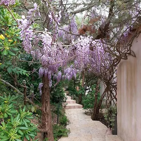 Private - Adults Only 酒店