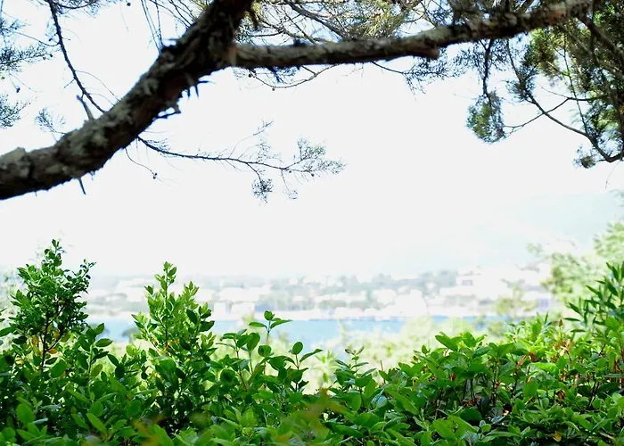 Private - Adults Only Porto Vecchio