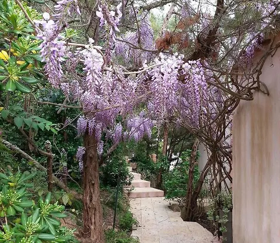 Private - Adults Only Hotel